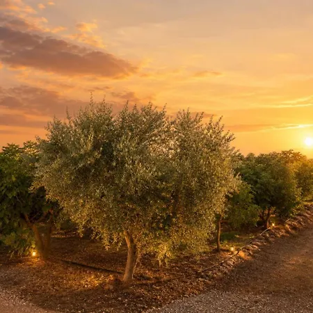 Private Pool Villa, Olive Grove & Big Yard Вилла